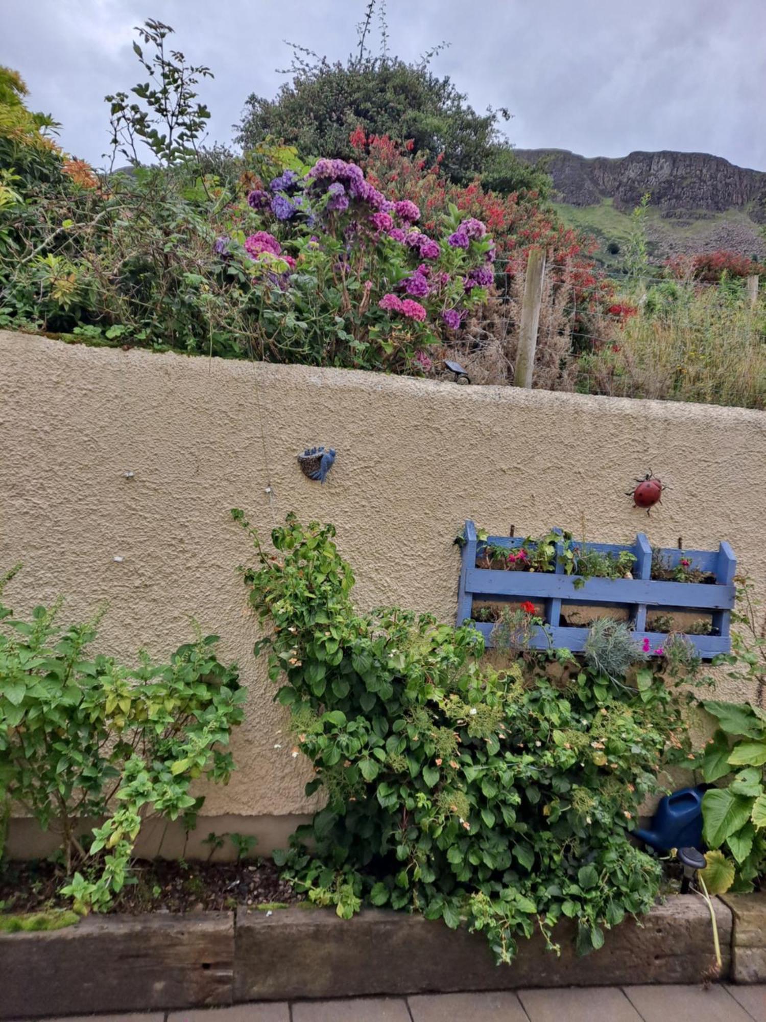 Lurig View B&B Glenariffe Exterior foto