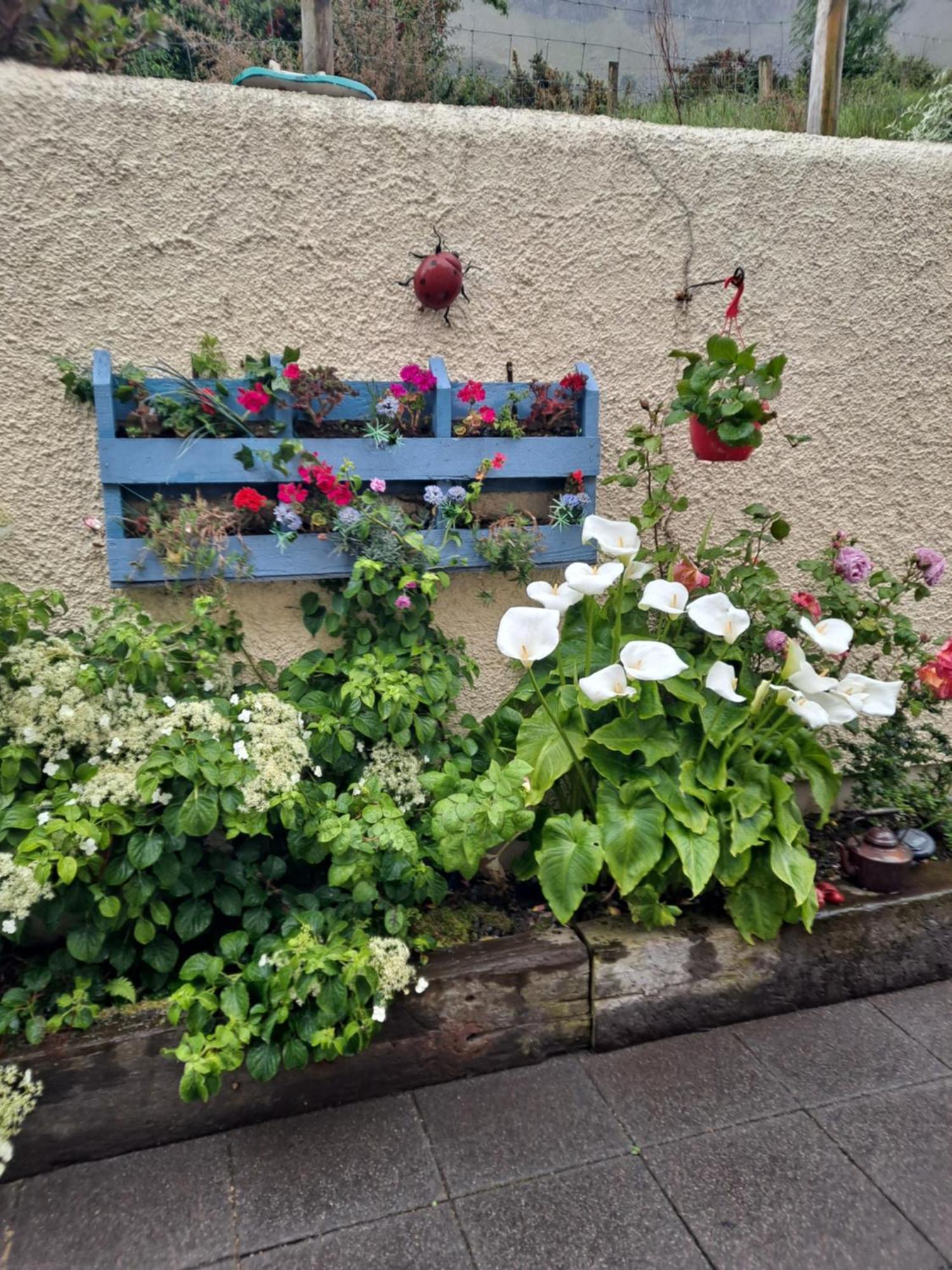 Lurig View B&B Glenariffe Exterior foto