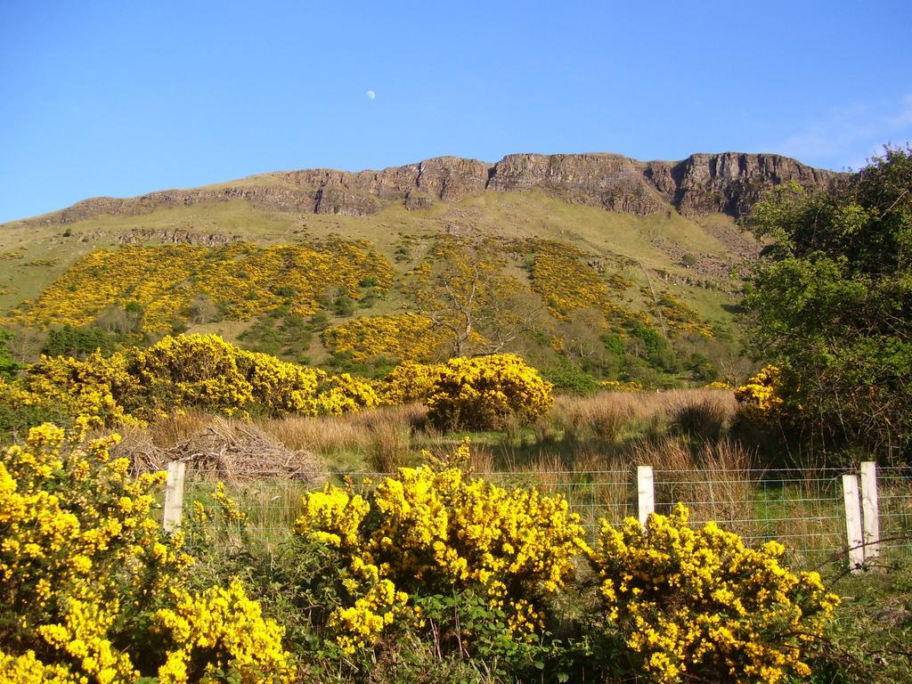 Lurig View B&B Glenariffe Exterior foto